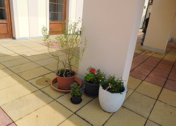 Květiny - dar pro hospic