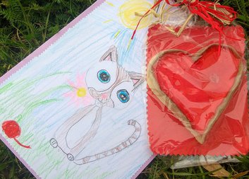 Narozeniny v hospici