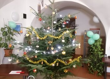 Děkujeme farnosti Svatý Kopeček za vánoční stromeček