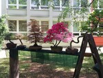 thumbnail_20240510_120108