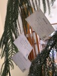 IMG_20241012_110406
