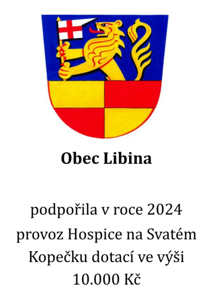 Libina