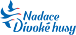 Divoké husy