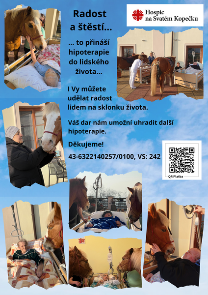 Hipoterapie leták