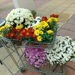 WhatsApp Image 2025-10-08 at 09.53.33 (2) WhatsApp Image 2025-10-08 at 09.53.33 (2)