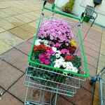 WhatsApp Image 2025-10-08 at 09.53.33 (1) WhatsApp Image 2025-10-08 at 09.53.33 (1)