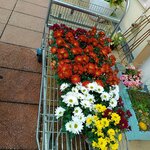 WhatsApp Image 2025-10-08 at 09.53.33 WhatsApp Image 2025-10-08 at 09.53.33