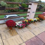 WhatsApp Image 2025-10-08 at 09.53.32 (4) WhatsApp Image 2025-10-08 at 09.53.32 (4)