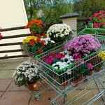 WhatsApp Image 2025-10-08 at 09.53.32 (3) WhatsApp Image 2025-10-08 at 09.53.32 (3)